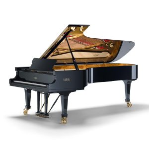 Piano Fazioli F308 18