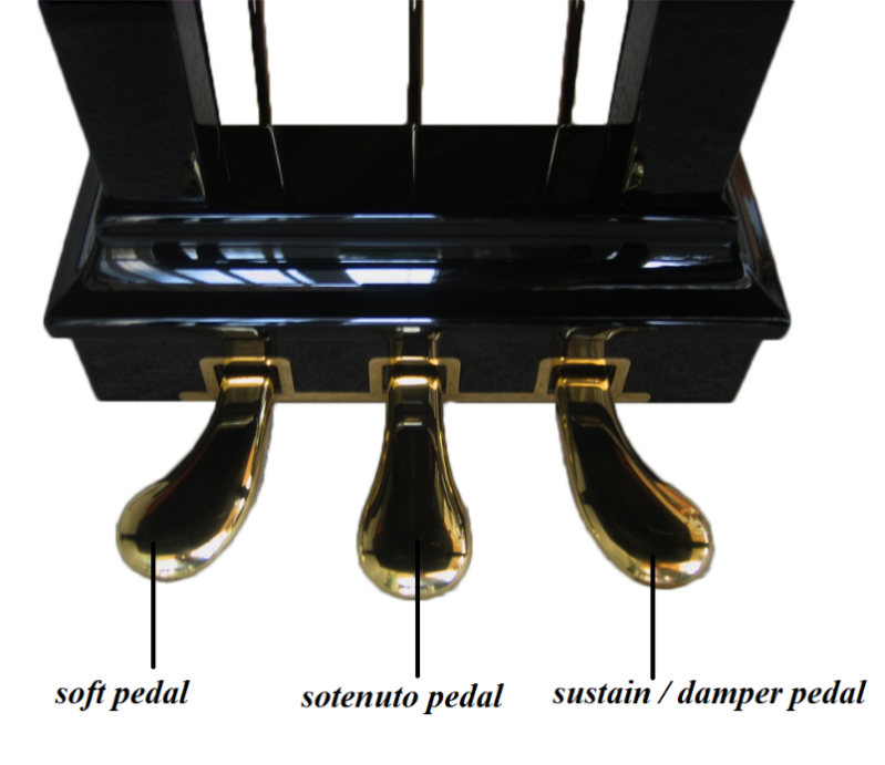 phương nguyễn, 37a nguyễn đình chiểu, 37a nguyen dinh chieu, 0818181027, piano pedal