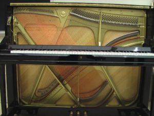 phương nguyễn, 37a nguyễn đình chiểu, 37a nguyen dinh chieu, 0818181027, kiểm tra piano cũ