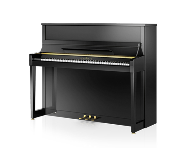 Schimmel C120T