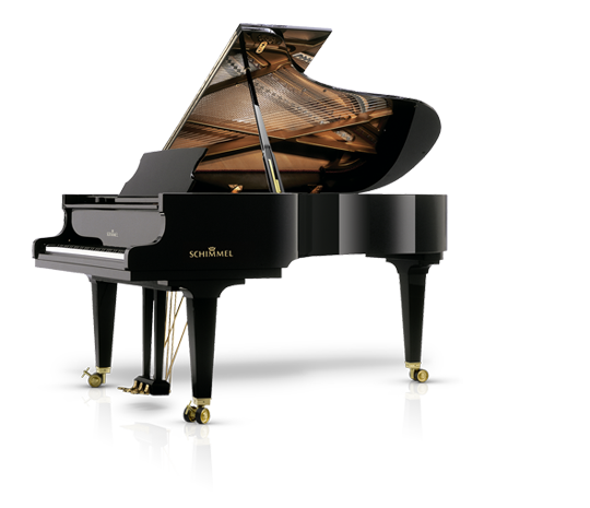 Schimmel K219T