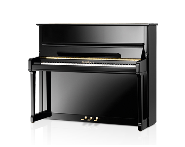 Schimmel K125