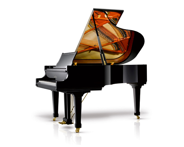 Schimmel C189