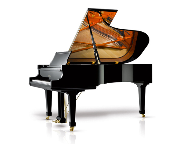 Schimmel C213