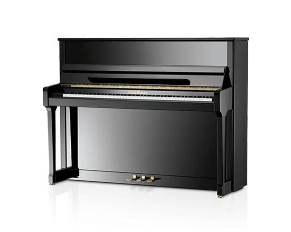 Schimmel C116