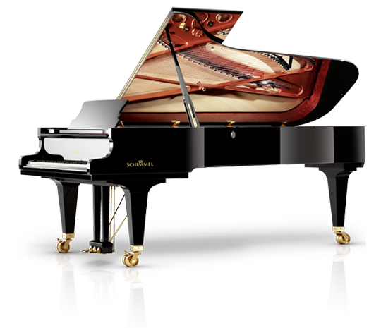 Schimmel K280T