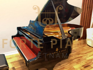 Steinway B211 Spirio Cty Piano Forte Viet Nam