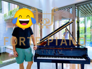 Steinway O180 Blue Cty Piano Forte Viet Nam 2