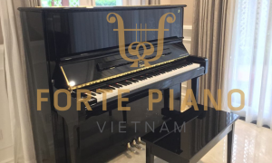 Boston UP132PE Cty Piano Forte Viet Nam