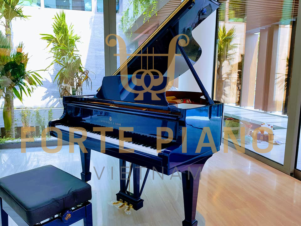 Steinway O180 Blue Cty Piano Forte Viet Nam