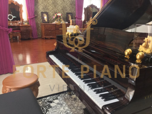 Steinway O180 Macassar Cty Piano Forte Viet Nam 6