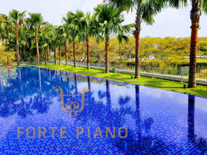 Steinway O180 Blue Cty Piano Forte Viet Nam 5