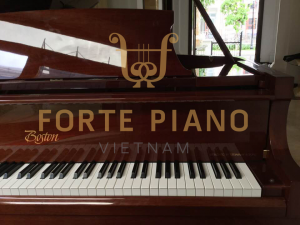 Boston GP178 Mahogany Cty Piano Forte Viet Nam