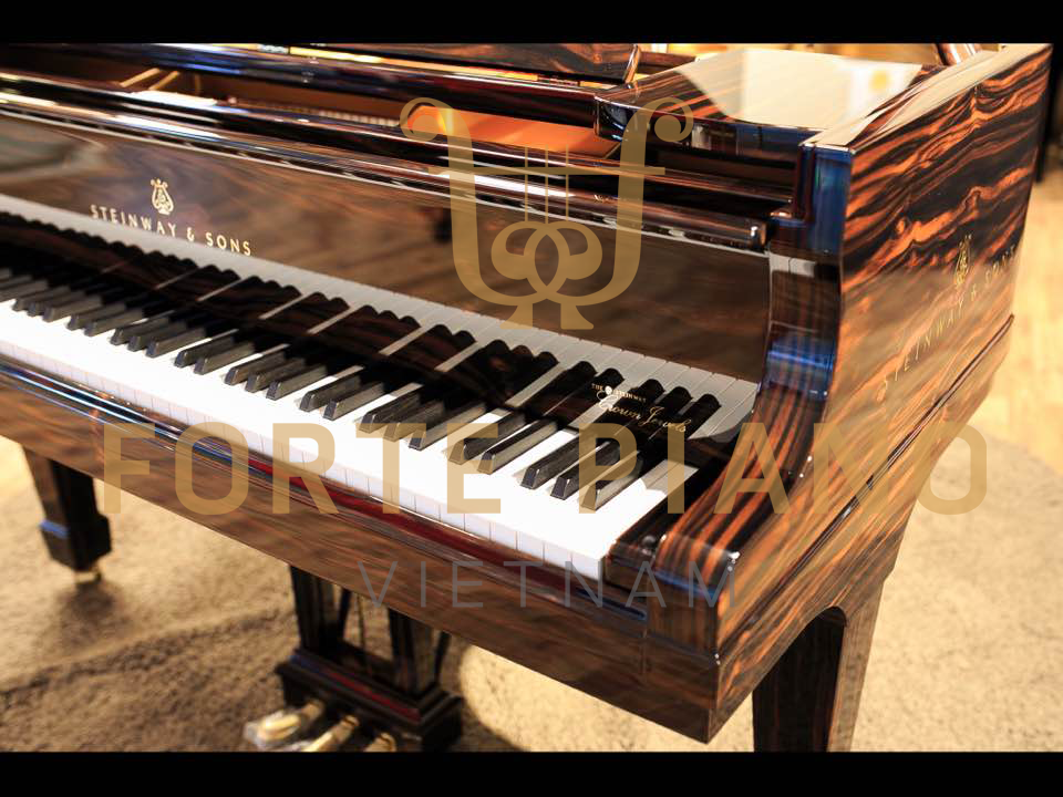 Steinway O180 Macassar Cty Piano Forte Viet Nam 5
