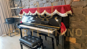 HoffmHoffmann T122 Cty Piano Forte Viet Namann T122 Cty Piano Forte Viet Nam