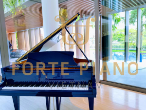 Steinway O180 Blue Cty Piano Forte Viet Nam 3