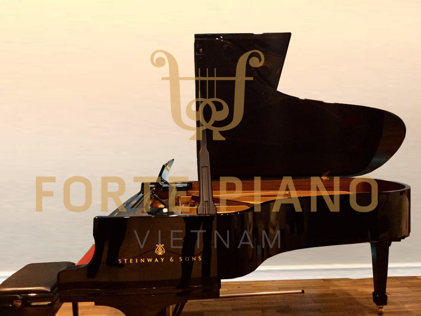 Steinway B211 Spirio Cty Piano Forte Viet Nam 2