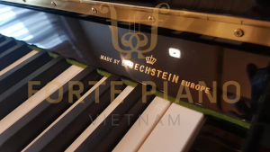 Hoffmann T122 Cty Piano Forte Viet Nam 2