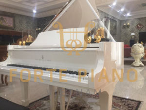 Steinway O180 White Cty Piano Forte Viet Nam 3