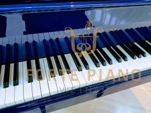 Steinway O180 Blue Cty Piano Forte Viet Nam 4