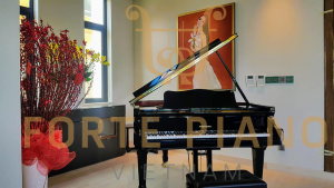 Hoffmann V158 Cty Piano Forte Viet Nam 2