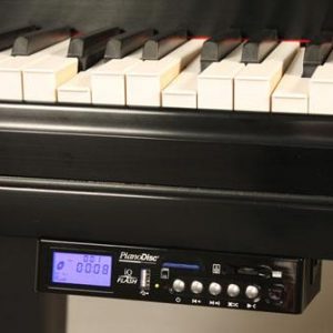 Piano hybrid - kết hợp pianodisc