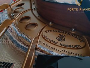 Steinway model O Piano Forte VIet Nam