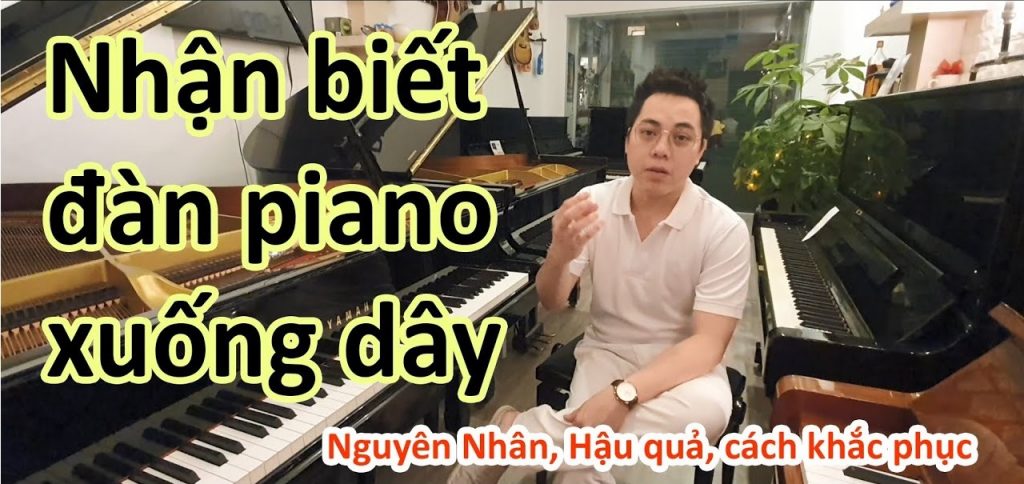37a nguyễn đình chiểu, 37a nguyen dinh chieu, 0818181027, piano lạc dây, piano lac day