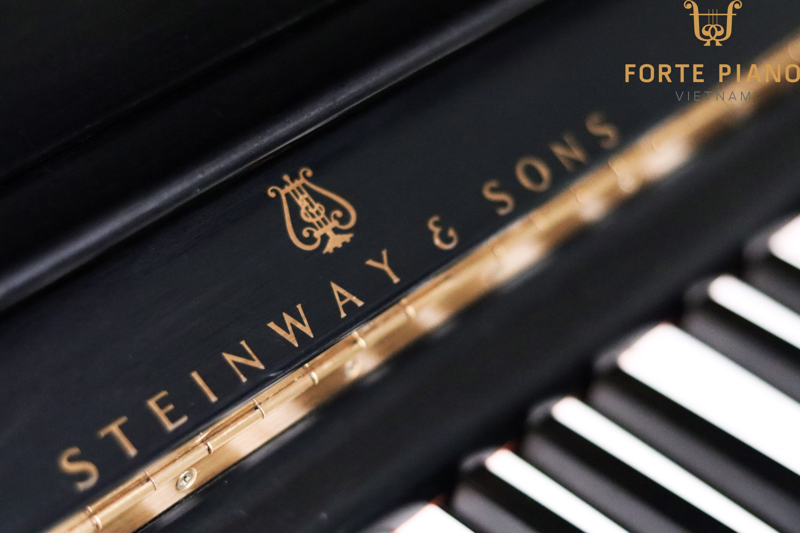 Steinway & Sons K52