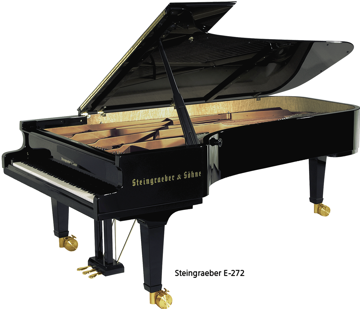 Đàn piano Steingraeber E272, 0818181027