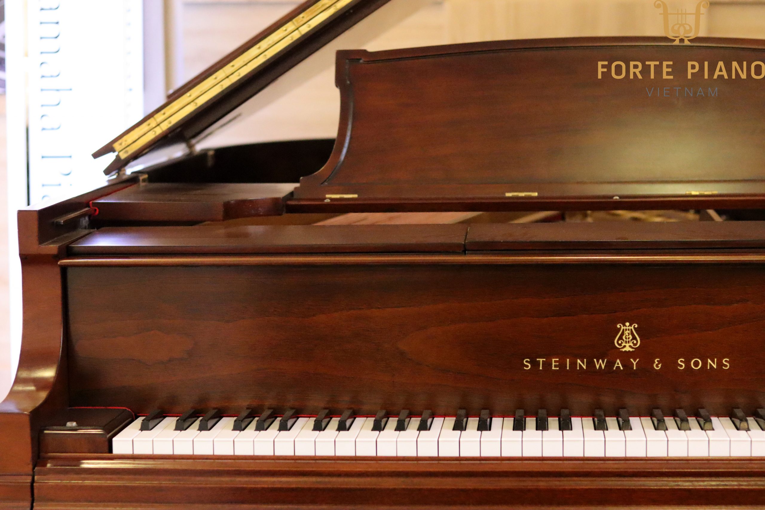 Steinway model O giá