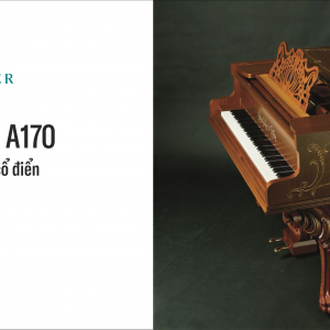 piano Steingraeber A170 4