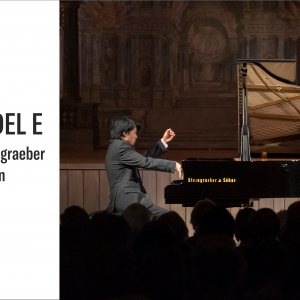 piano Steingraeber E275 Concert Grand 4