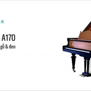 piano Steingraeber A170 5