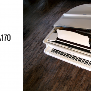 piano Steingraeber A170 6