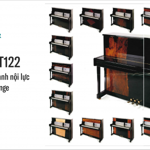 Steingraeber T122 9