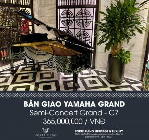 37a nguyễn đình chiểu, 37a nguyen dinh chieu, 0818181027, Yamaha C7