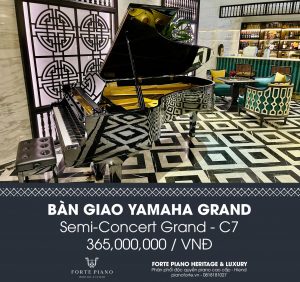 37a nguyễn đình chiểu, 37a nguyen dinh chieu, 0818181027, Yamaha C7