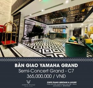 37a nguyễn đình chiểu, 37a nguyen dinh chieu, 0818181027, Yamaha C7