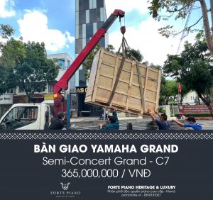 37a nguyễn đình chiểu, 37a nguyen dinh chieu, 0818181027