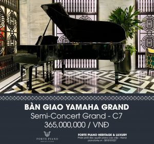 37a nguyễn đình chiểu, 37a nguyen dinh chieu, 0818181027, Yamaha C7