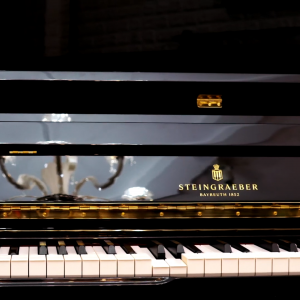 Steingraeber pianodisc, 37a nguyễn đình chiểu, 37a nguyen dinh chieu, 0818181027