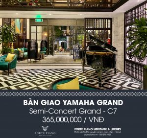 37a nguyễn đình chiểu, 37a nguyen dinh chieu, 0818181027, Yamaha C7