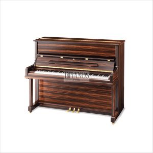 Grotrian WG23DM Makassar Ebony 1