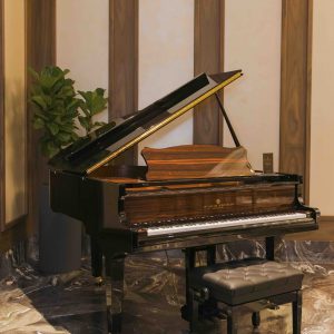 piano grotrian wgs165ar 10