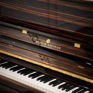 Grotrian WG23DM Makassar Ebony 2