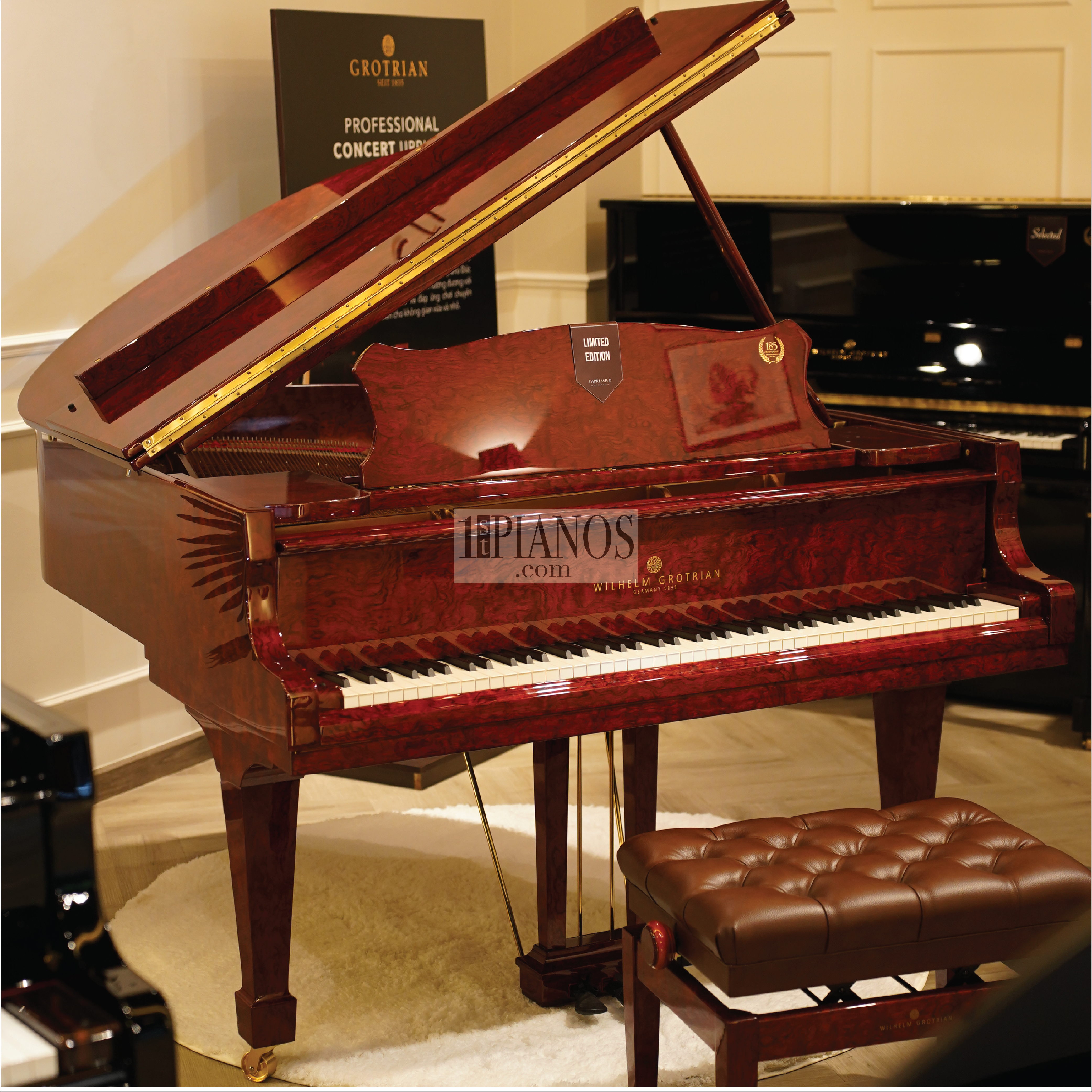 piano Grotrian WG170B Bubinga 9