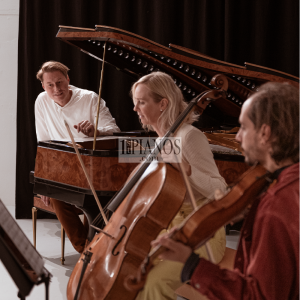 Piano PH Bow Grand 2