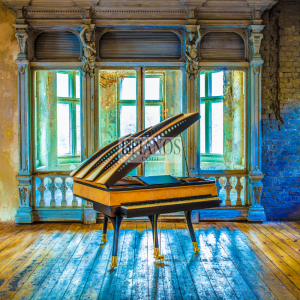 Piano PH Bow Grand 19
