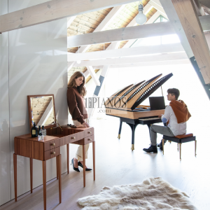 Piano PH Bow Grand 10
